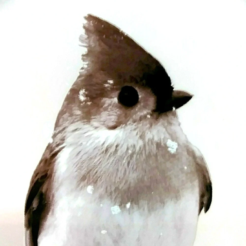 Pier 1, Snowy Tufted Titmouse on Branch. Salad Plate is 8.5” wide.